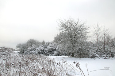 Photographie intitulée "Quand la neige reco…" par Stéphane Etienne, Œuvre d'art originale, Photographie numérique