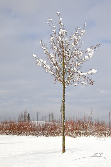 Photographie intitulée "Quand la neige reco…" par Stéphane Etienne, Œuvre d'art originale, Photographie numérique