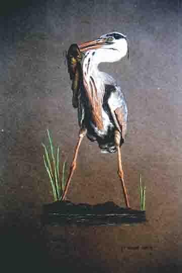 Рисунок под названием "Le héron cendré" - Stéphane Etienne, Подлинное произведение искусства, Пастель