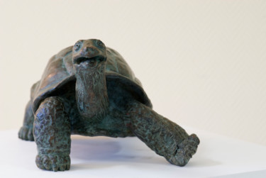 Sculpture intitulée "tortue terrestre -…" par Stéphane Goarnisson, Œuvre d'art originale, Bronze