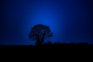 Photographie intitulée "l'arbre et l'heure…" par Stephane Mouny, Œuvre d'art originale, Photographie numérique