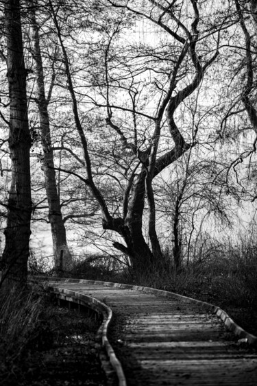 Photography titled "le chemin et l'arbre" by Stephane Mouny, Original Artwork, Digital Photography