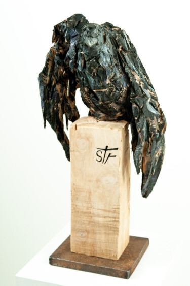 Sculptuur getiteld "chevalier noir" door Stéphane Terret, Origineel Kunstwerk, Hout