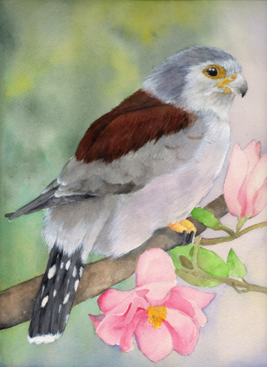 Painting titled "faucon.jpg" by Stephanie Criado, Original Artwork, Watercolor