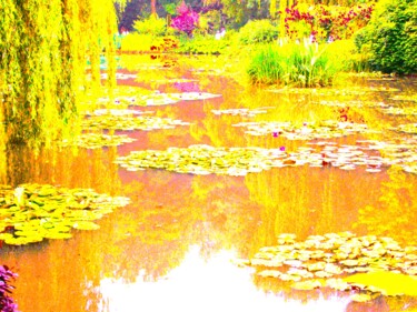 Фотография под названием "Etang de Giverny" - Stéphanie Dambry, Подлинное произведение искусства, Цифровая фотография