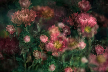 Fotografia intitolato "Flower" da Stephanie Jung, Opera d'arte originale, Fotografia manipolata