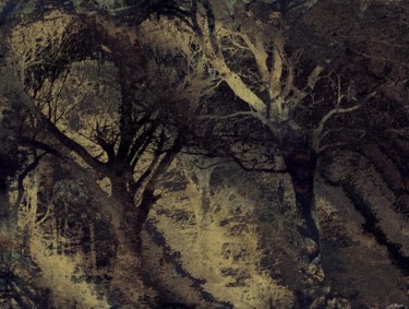 Silence Digital Arts titled "Silence" by Stéphanie Menard, Original Art, 2D Digital Work
