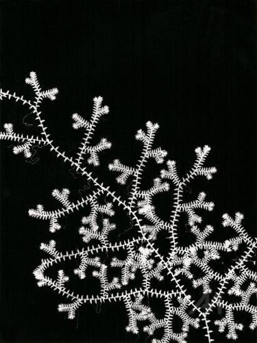 摄影 标题为“Sélaginelle” 由Stéphanie Robert, 原创艺术品, 电影摄影 安装在纸板上