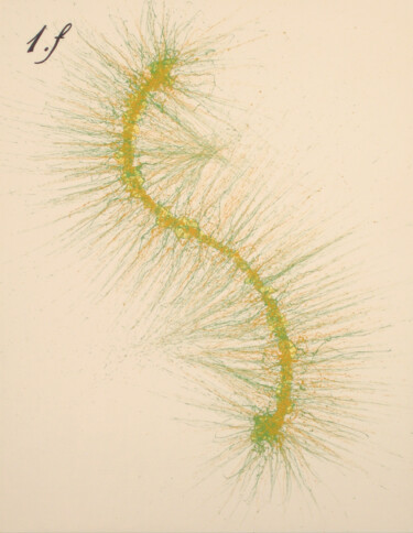 Peinture intitulée ""Species No. 1f"" par Stephen Mauldin, Œuvre d'art originale, Acrylique