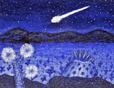 Schilderij getiteld "Desert Bollide" door Stephen Warde Anderson, Origineel Kunstwerk, Acryl Gemonteerd op Andere stijve pan…