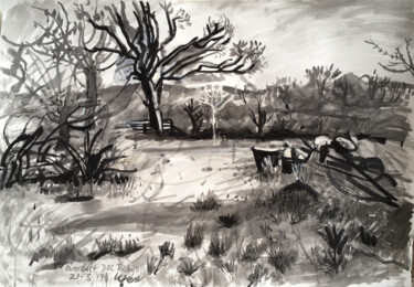 Drawing titled "Overcast Dolpebyll" by Stephen West, Original Artwork, Ink