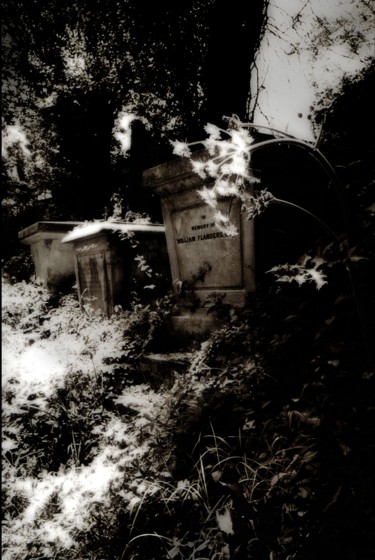 Digital Arts titled "Summer Graves" by Stephen Jackson, Original Artwork