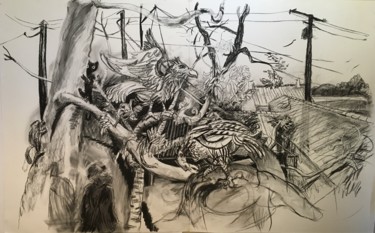 Alfred Wallace Natural Selection Dessin intitulée "Alfred Wallace Natu…" par Stephen West, Œuvre d'art originale, Fusain