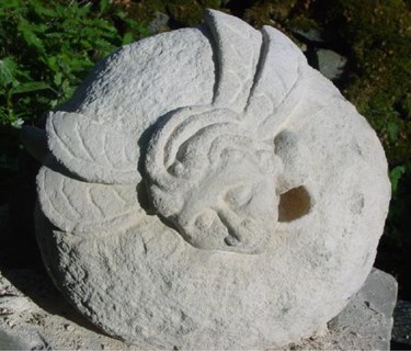 Sculpture titled "Gall Wasp" by Stephen West, Original Artwork, Stone