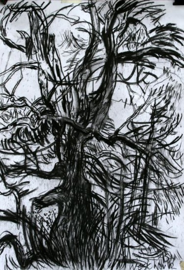 Drawing titled "Ash II" by Stephen West, Original Artwork, Other