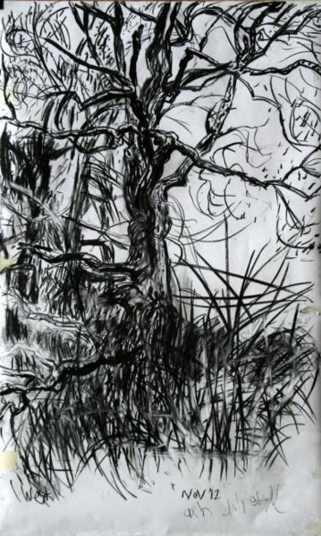 Drawing titled "Ash III" by Stephen West, Original Artwork, Other