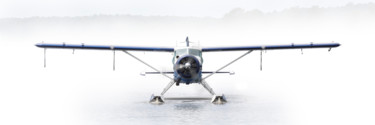 Photographie intitulée "DHC-2 Beaver white…" par Steve Laurens, Œuvre d'art originale, Photographie manipulée