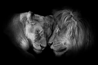 Φωτογραφία με τίτλο "Un couple royal" από Steven Dartois, Αυθεντικά έργα τέχνης, Ψηφιακή φωτογραφία