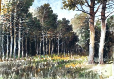 Pintura intitulada "Bosque de pinos ..." por Stjepan Lezaic (Pepi), Obras de arte originais, Aquarela
