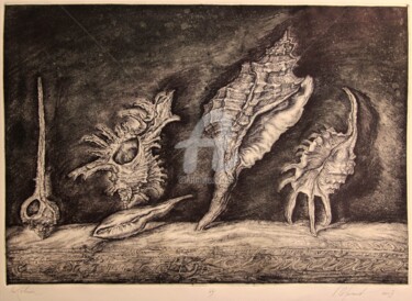 Printmaking titled "Shells" by Leonid Stroganov, Original Artwork, Etching