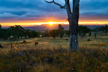 Photographie intitulée "Sunset over the Bri…" par Stuart Row, Œuvre d'art originale