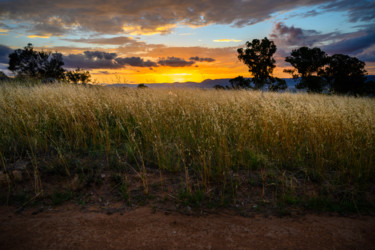 Photographie intitulée "Sunset over the Bri…" par Stuart Row, Œuvre d'art originale