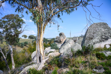 Fotografía titulada "Crookwell Landscape" por Stuart Row, Obra de arte original, Fotografía digital