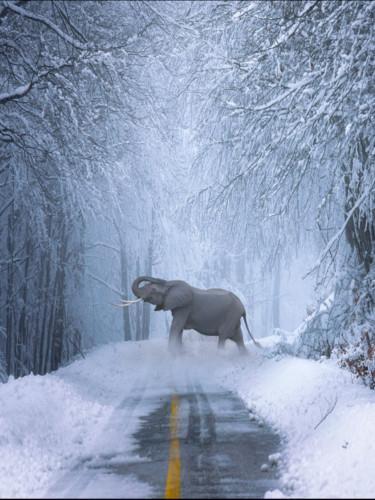 Arts numériques intitulée "Elephant Winter" par Sir Gently, Œuvre d'art originale, Travail numérique 2D