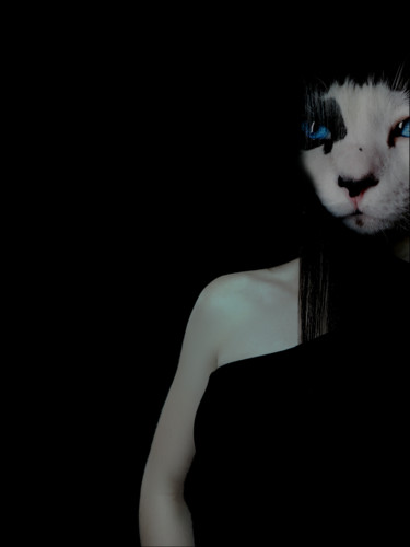 Arts numériques intitulée "The Discreet Cat" par Sir Gently, Œuvre d'art originale, Peinture numérique