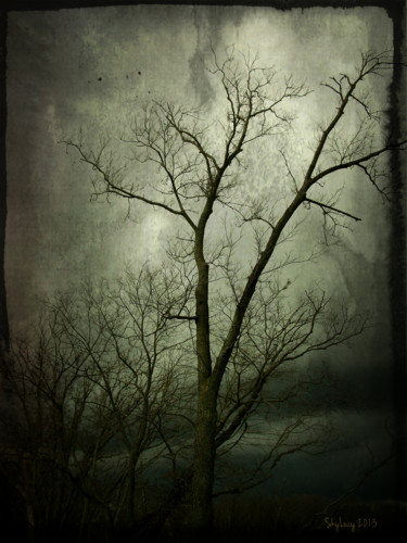 Photography titled "Bleak" by Skylucy, Original Artwork, Digital Photography