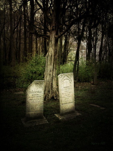Photography titled "The Final Resting P…" by Skylucy, Original Artwork