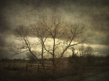 Фотография под названием "A Wyeth Landscape" - Skylucy, Подлинное произведение искусства