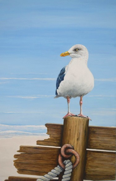 Painting titled "Seagull" by Sue Harding, Original Artwork, Acrylic