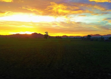 Photography titled "sunset-over-rice-pa…" by Suleiman, Original Artwork