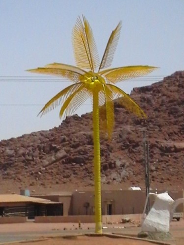 Φωτογραφία με τίτλο "plastic-palm Taba.j…" από Suleiman, Αυθεντικά έργα τέχνης