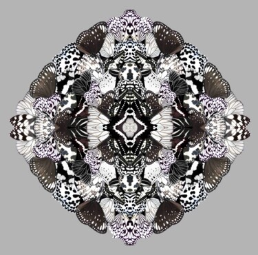 Druckgrafik mit dem Titel "Midday metamorphosis" von Sumit Ratta, Original-Kunstwerk, Digitaldruck
