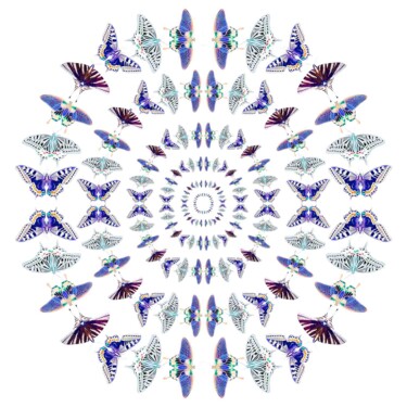 Digitale Kunst getiteld "Winged rings" door Sumit Ratta, Origineel Kunstwerk