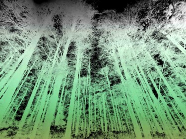 Fotografia intitulada "Forest Aurora" por Sumit Ratta, Obras de arte originais, Fotografia Manipulada