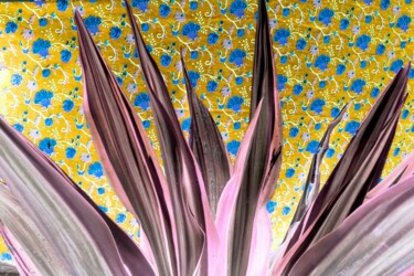 Fotografia intitulada "Psyched spikes" por Sumit Ratta, Obras de arte originais, Fotografia digital Montado em Plexiglass