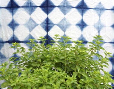 Отпечатки и Гравюры под названием "Lush botanic" - Sumit Ratta, Подлинное произведение искусства, Цифровая фотография