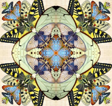 Digitale Kunst mit dem Titel "Mothscope" von Sumit Ratta, Original-Kunstwerk, Fotomontage