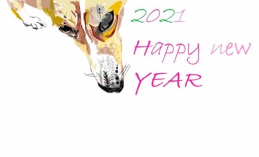 Design intitolato "happy2021 fast" da Lily Moonheart, Opera d'arte originale, Capi di abbigliamento