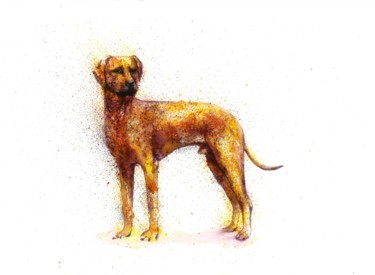 Malerei mit dem Titel "Dog Fantasy waterco…" von Natalja Picugina, Original-Kunstwerk, Aquarell