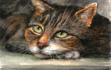 Ζωγραφική με τίτλο "Cat portrait painti…" από Natalja Picugina, Αυθεντικά έργα τέχνης, Ακουαρέλα