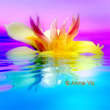 Digital Arts titled "Tropical Flower" by A V, Original Artwork