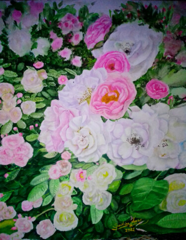 Painting titled "The Sound of Roses" by Sunshine Amos, Original Artwork, Watercolor