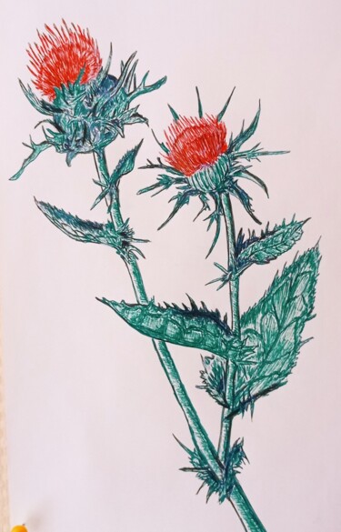 Рисунок под названием "Растение" - Superbuper Super, Подлинное произведение искусства, Гелевая ручка