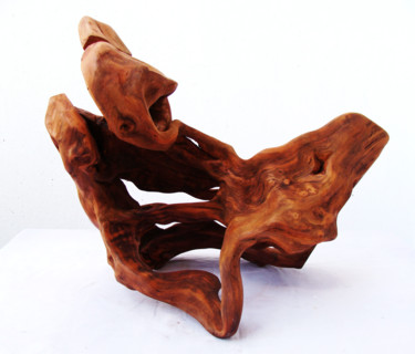 Скульптура под названием "Eye of the storm" - Suresh Pant, Подлинное произведение искусства, Дерево