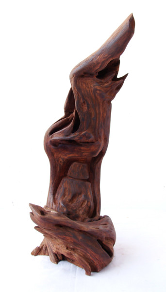 Sculpture intitulée "Reincarnation" par Suresh Pant, Œuvre d'art originale, Bois