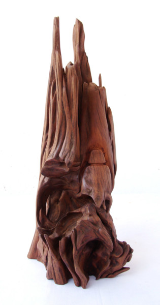 Scultura intitolato "Mountain's spirit" da Suresh Pant, Opera d'arte originale, Legno